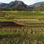 Sitinggil Muncul