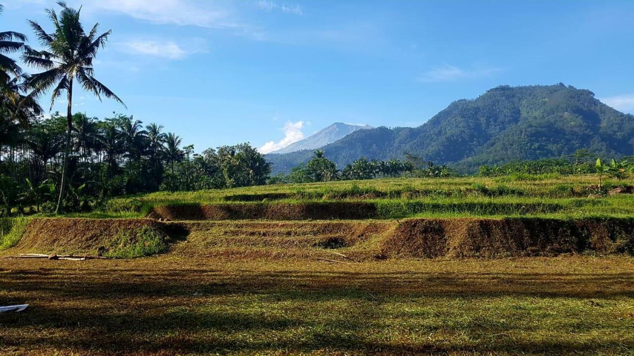 Sitinggil Muncul Rumah pedesaan