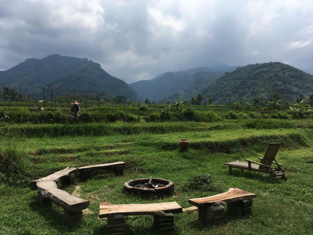 Sitinggil Muncul Rumah pedesaan